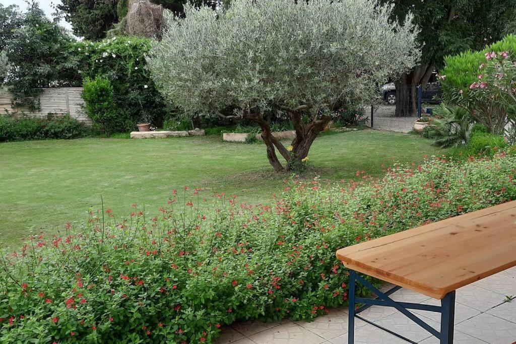 Villa L'Estel En Campagne Avec Piscine Privee Proche Arles Et Avignon 塔拉斯孔 外观 照片